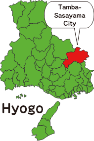 Hyogo Tamba-Sasayama City